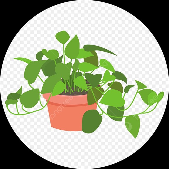 gardengirlie22